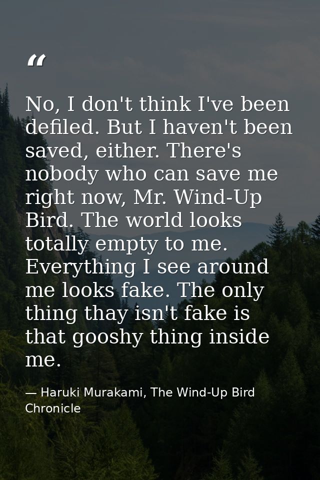 No, I don't think I've been defiled. But I haven't been saved, either. There's nobody who can save me right now, Mr. Win — Haruki Murakami, The Wind-Up Bird Chronicle