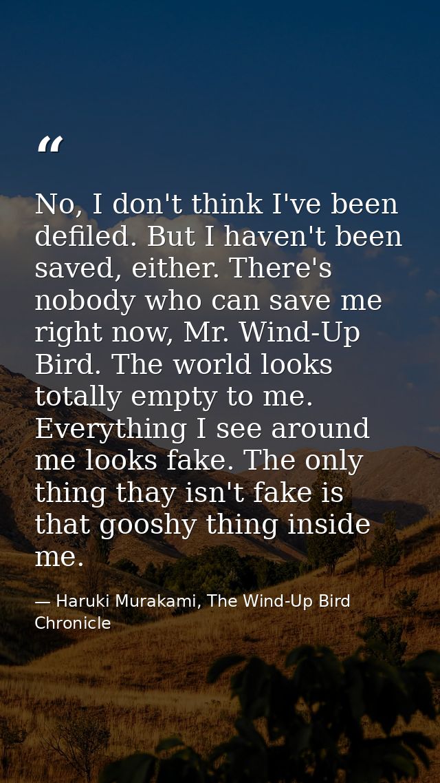 No, I don't think I've been defiled. But I haven't been saved, either. There's nobody who can save me right now, Mr. Win — Haruki Murakami, The Wind-Up Bird Chronicle