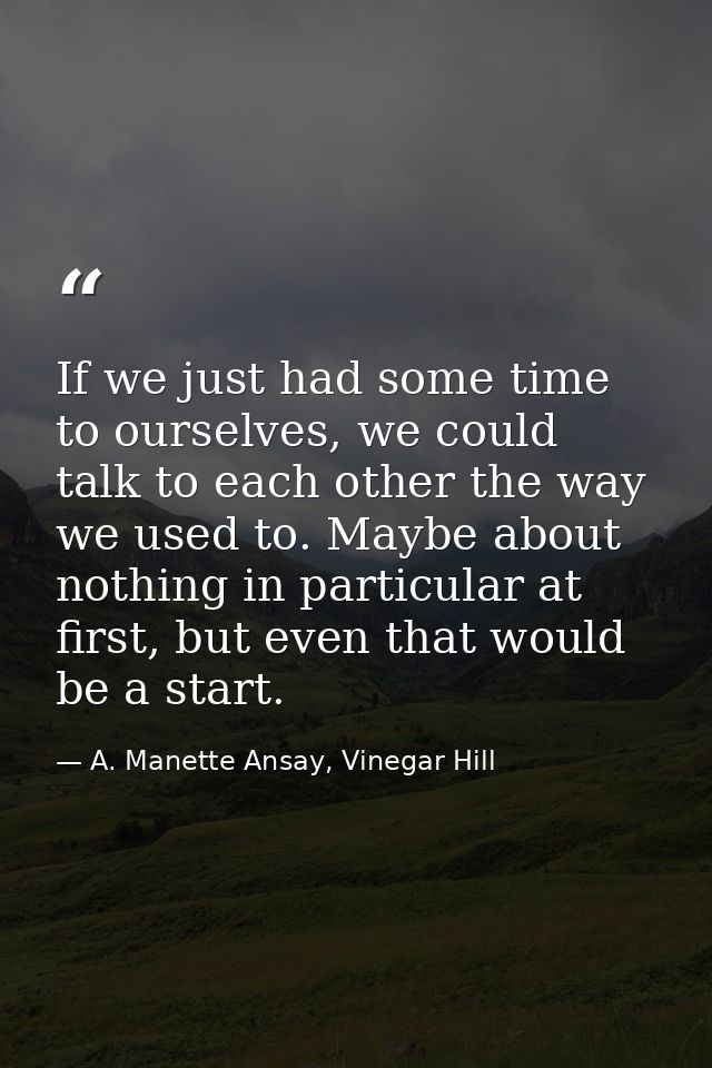 If we just had some time to ourselves, we could talk to each other the way we used to. Maybe about nothing in particular — A. Manette Ansay, Vinegar Hill