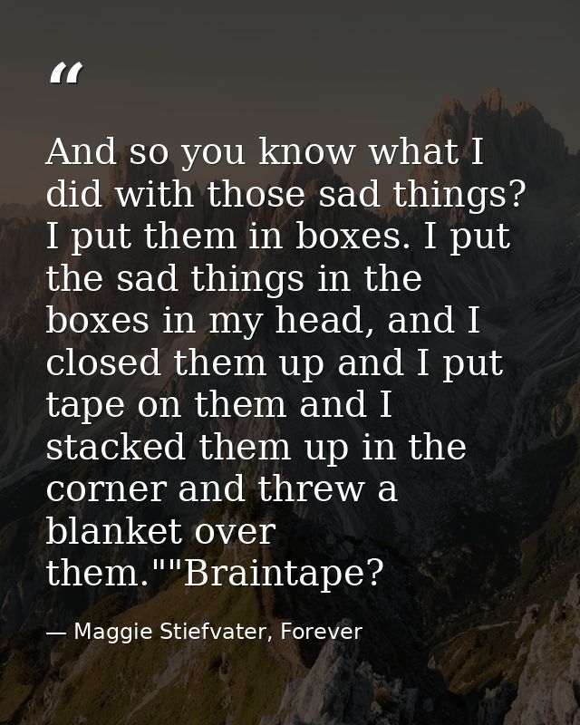 And so you know what I did with those sad things? I put them in boxes. I put the sad things in the boxes in my head, and — Maggie Stiefvater, Forever