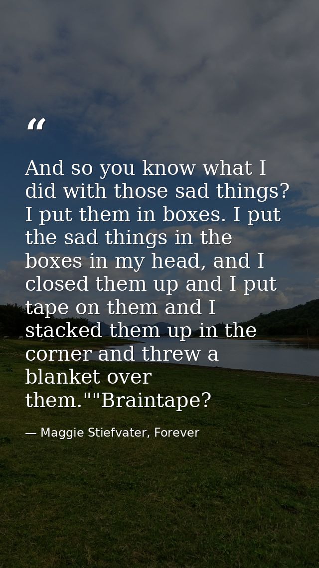 And so you know what I did with those sad things? I put them in boxes. I put the sad things in the boxes in my head, and — Maggie Stiefvater, Forever