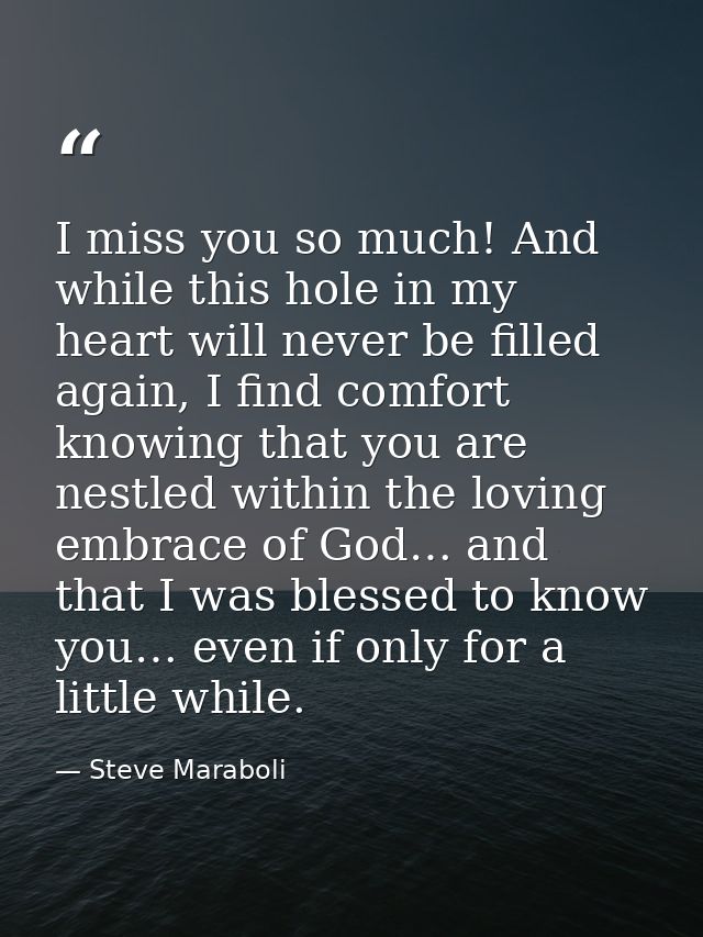 I miss you so much! And while this hole in my heart will never be filled again, I find comfort knowing that you are nest — Steve Maraboli