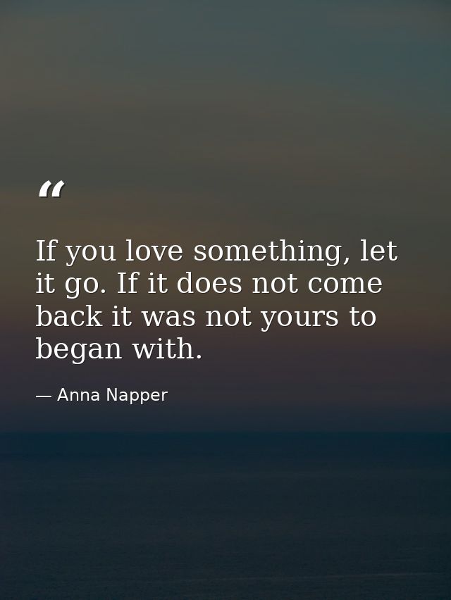 If you love something, let it go. If it does not come back it was not yours to began with. — Anna Napper