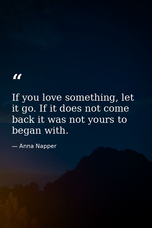 If you love something, let it go. If it does not come back it was not yours to began with. — Anna Napper