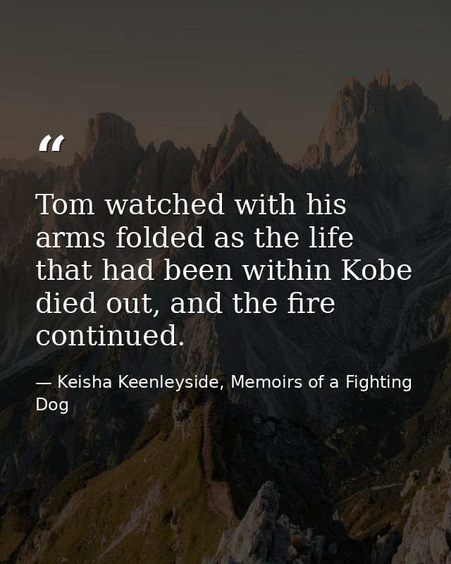 Tom watched with his arms folded as the life that had been within Kobe died out, and the fire continued. — Keisha Keenleyside, Memoirs of a Fighting Dog