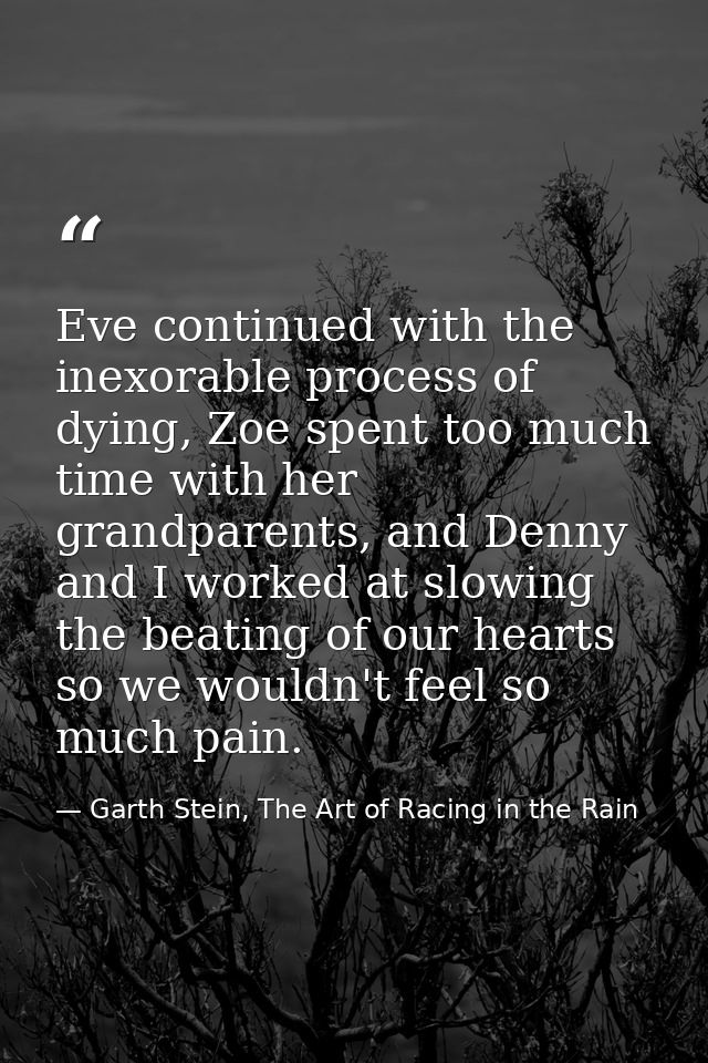 Eve continued with the inexorable process of dying, Zoe spent too much time with her grandparents, and Denny and I worke — Garth Stein, The Art of Racing in the Rain