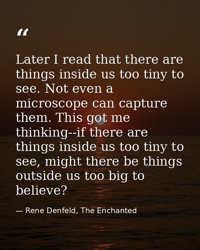 Later I read that there are things inside us too tiny to see. Not even a microscope can capture them. This got me thinki — Rene Denfeld, The Enchanted