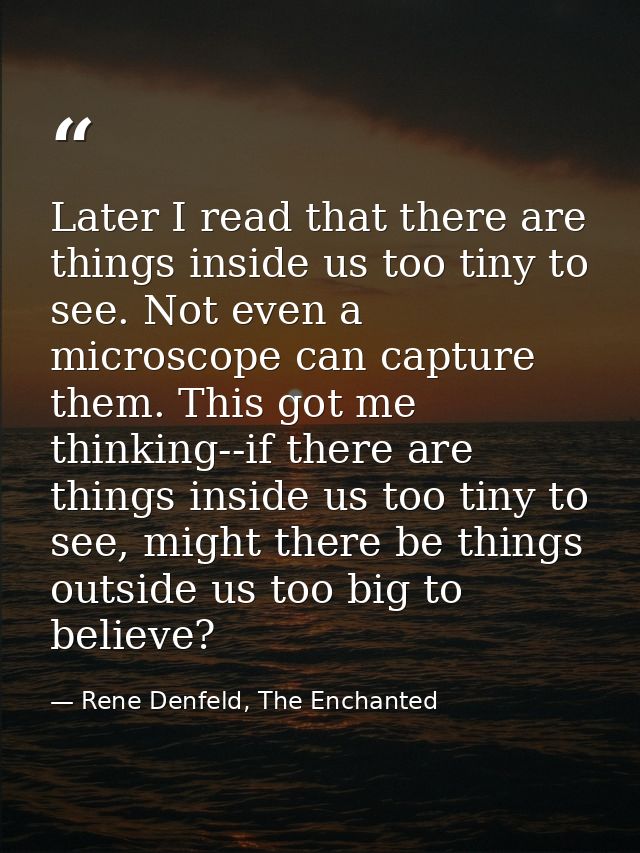 Later I read that there are things inside us too tiny to see. Not even a microscope can capture them. This got me thinki — Rene Denfeld, The Enchanted
