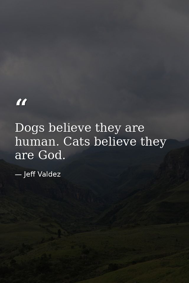 Dogs believe they are human. Cats believe they are God. — Jeff Valdez