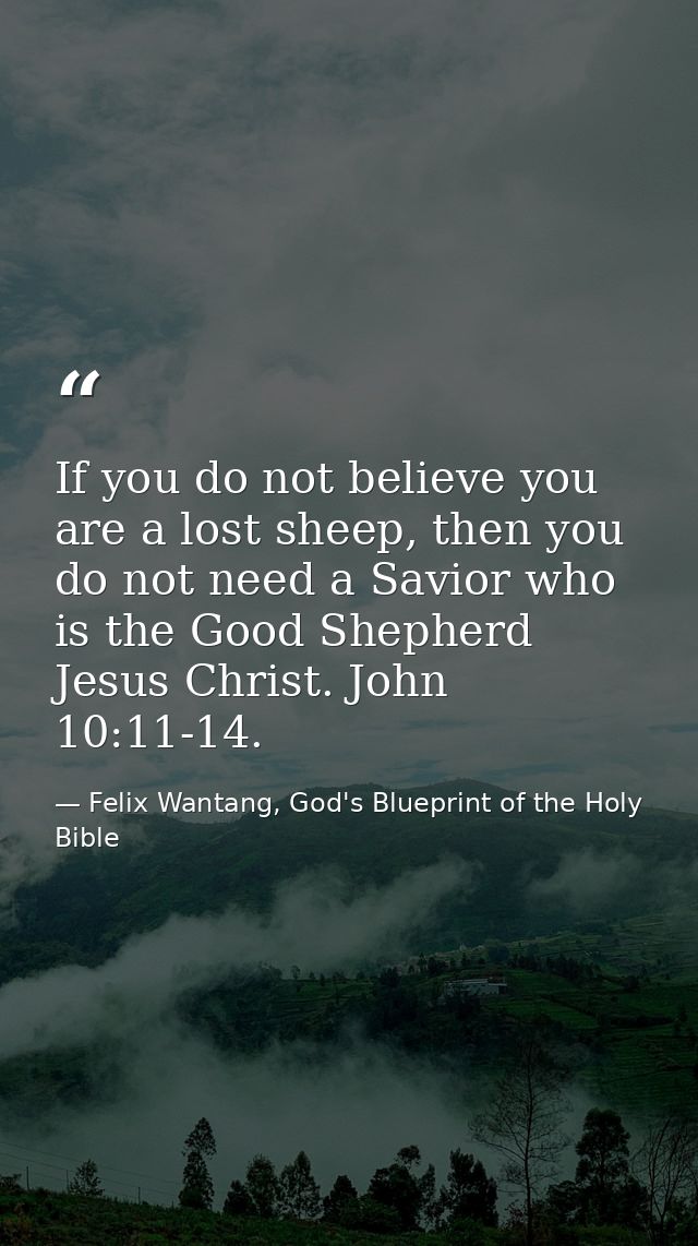 If you do not believe you are a lost sheep, then you do not need a Savior who is the Good Shepherd Jesus Christ. John 10 — Felix Wantang, God's Blueprint of the Holy Bible
