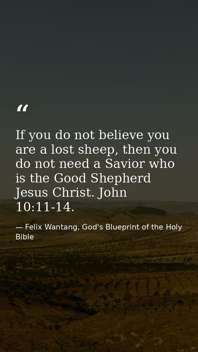 If you do not believe you are a lost sheep, then you do not need a Savior who is the Good Shepherd Jesus Christ. John 10 — Felix Wantang, God's Blueprint of the Holy Bible