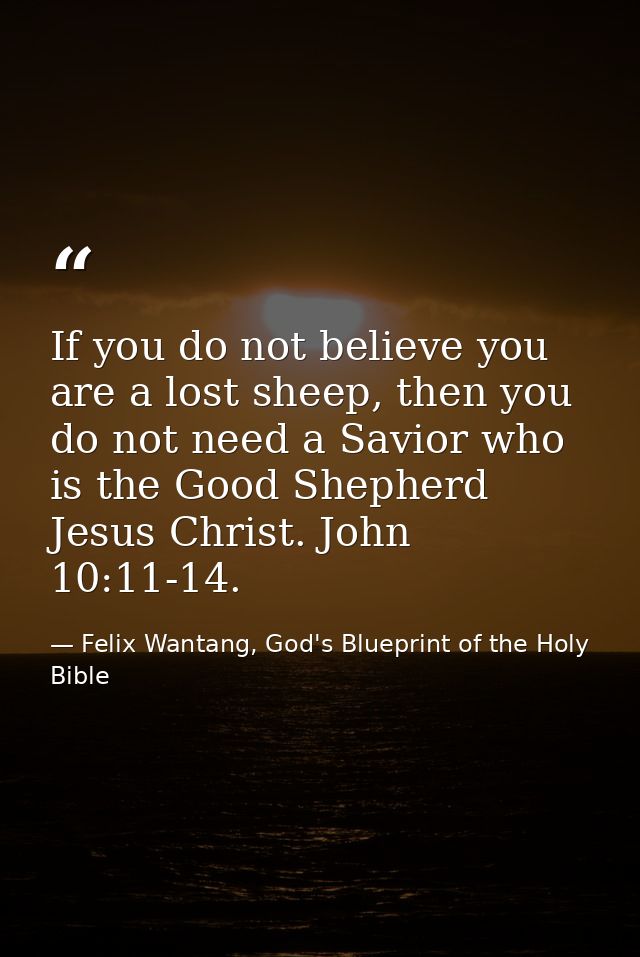 If you do not believe you are a lost sheep, then you do not need a Savior who is the Good Shepherd Jesus Christ. John 10 — Felix Wantang, God's Blueprint of the Holy Bible