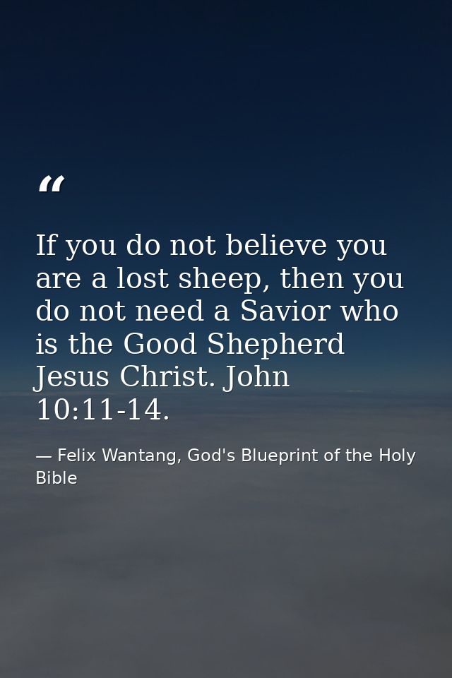 If you do not believe you are a lost sheep, then you do not need a Savior who is the Good Shepherd Jesus Christ. John 10 — Felix Wantang, God's Blueprint of the Holy Bible