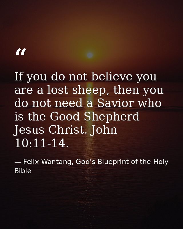 If you do not believe you are a lost sheep, then you do not need a Savior who is the Good Shepherd Jesus Christ. John 10 — Felix Wantang, God's Blueprint of the Holy Bible