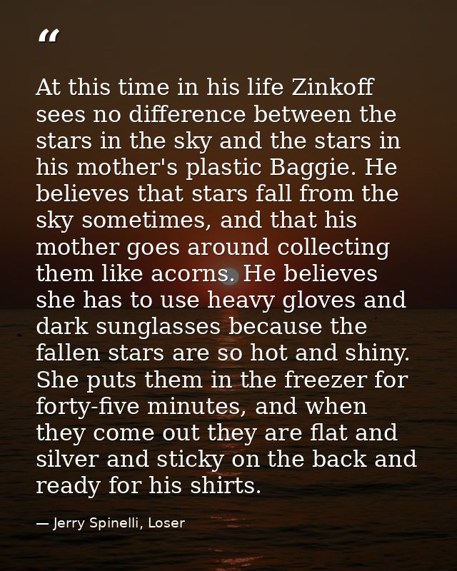 At this time in his life Zinkoff sees no difference between the stars in the sky and the stars in his mother's plastic B — Jerry Spinelli, Loser
