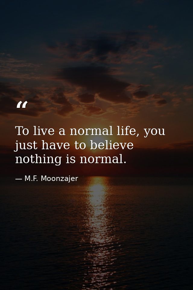 To live a normal life, you just have to believe nothing is normal. — M.F. Moonzajer