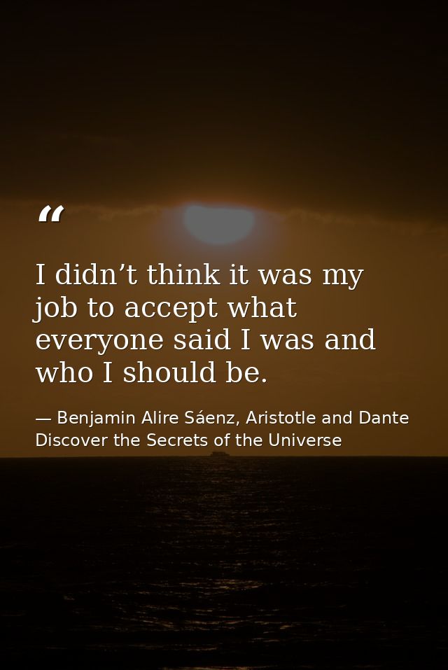 I didn’t think it was my job to accept what everyone said I was and who I should be. — Benjamin Alire Sáenz, Aristotle and Dante Discover the Secrets of the Universe
