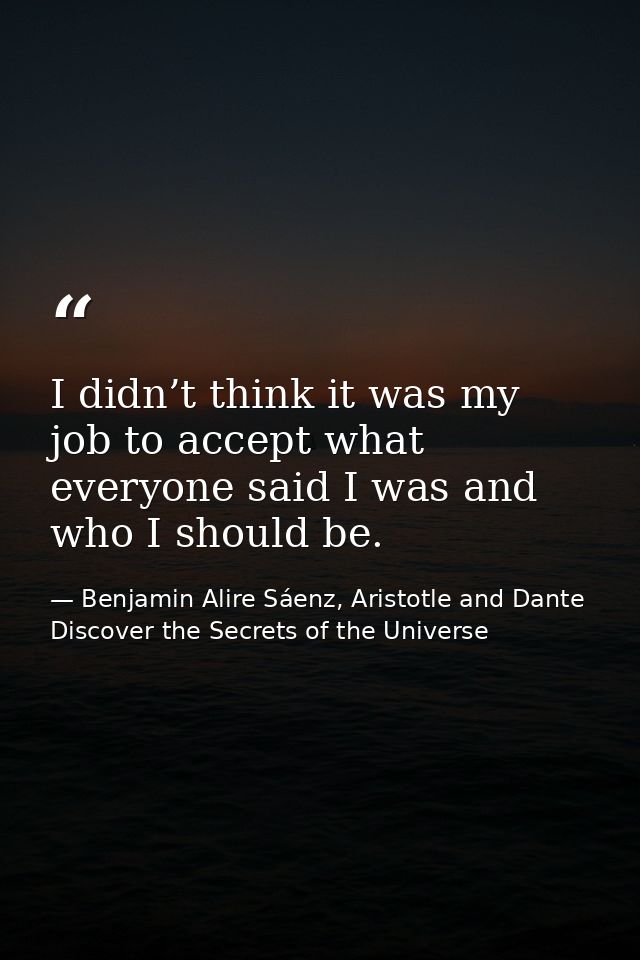 I didn’t think it was my job to accept what everyone said I was and who I should be. — Benjamin Alire Sáenz, Aristotle and Dante Discover the Secrets of the Universe