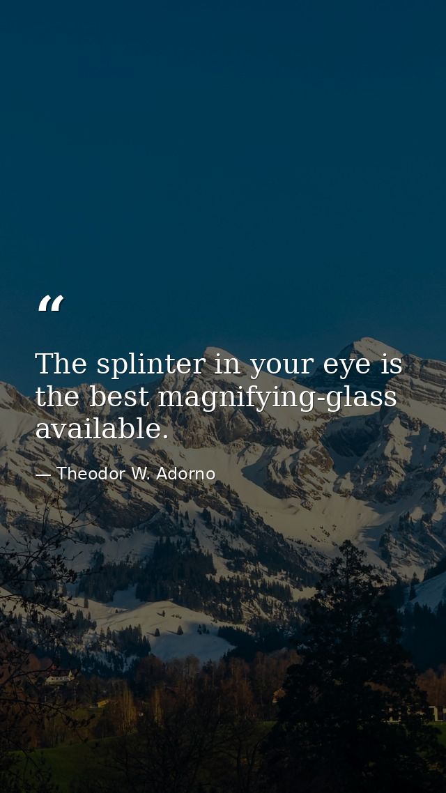 The splinter in your eye is the best magnifying-glass available. — Theodor W. Adorno