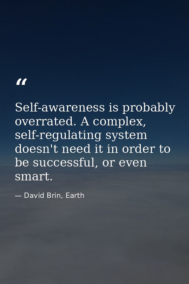 Self-awareness is probably overrated. A complex, self-regulating system doesn't need it in order to be successful, or ev — David Brin, Earth