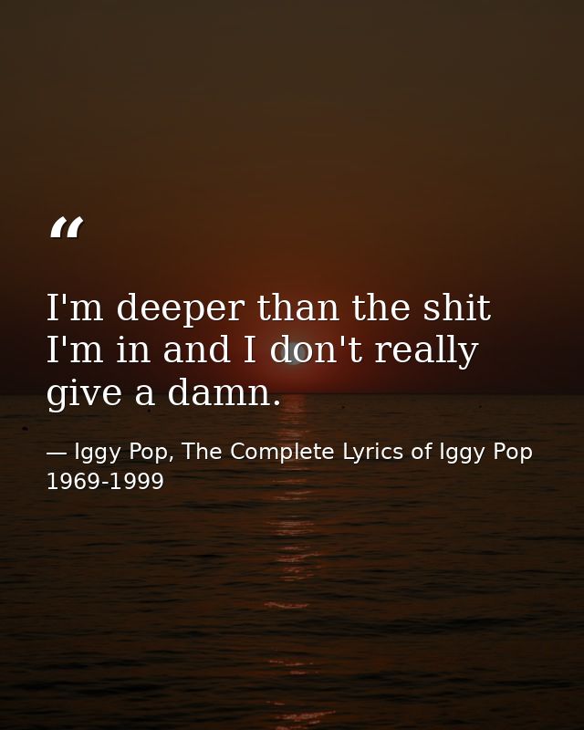 I'm deeper than the shit I'm in and I don't really give a damn. — Iggy Pop, The Complete Lyrics of Iggy Pop 1969-1999