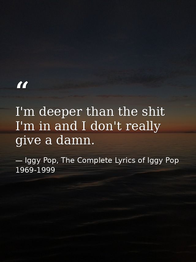 I'm deeper than the shit I'm in and I don't really give a damn. — Iggy Pop, The Complete Lyrics of Iggy Pop 1969-1999