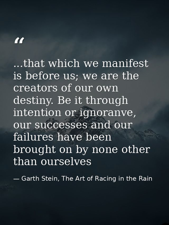 ...that which we manifest is before us; we are the creators of our own destiny. Be it through intention or ignoranve, ou — Garth Stein, The Art of Racing in the Rain