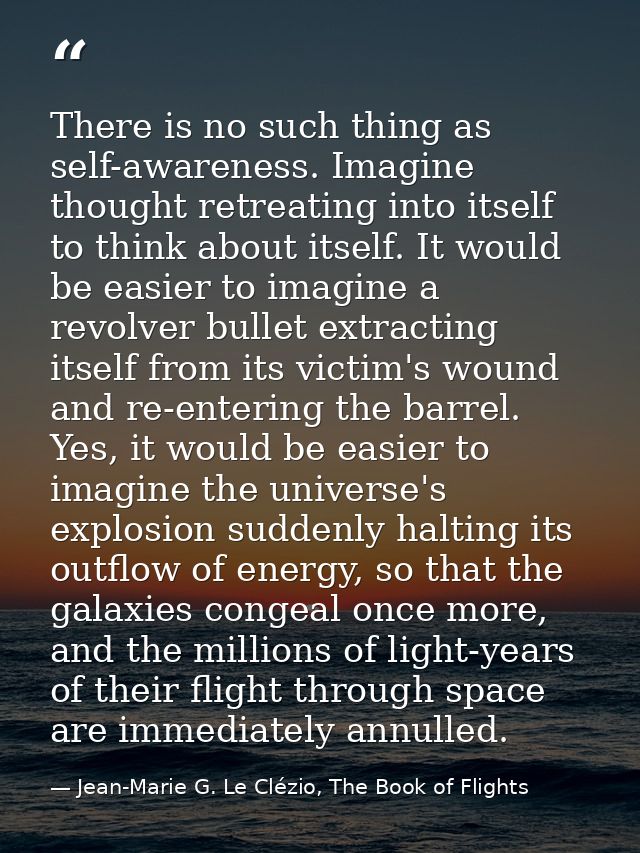 There is no such thing as self-awareness. Imagine thought retreating into itself to think about itself. It would be easi — Jean-Marie G. Le Clézio, The Book of Flights