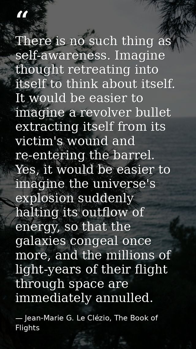 There is no such thing as self-awareness. Imagine thought retreating into itself to think about itself. It would be easi — Jean-Marie G. Le Clézio, The Book of Flights