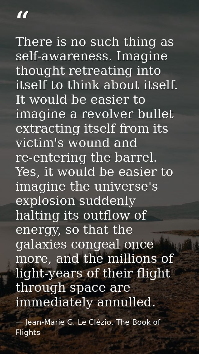 There is no such thing as self-awareness. Imagine thought retreating into itself to think about itself. It would be easi — Jean-Marie G. Le Clézio, The Book of Flights