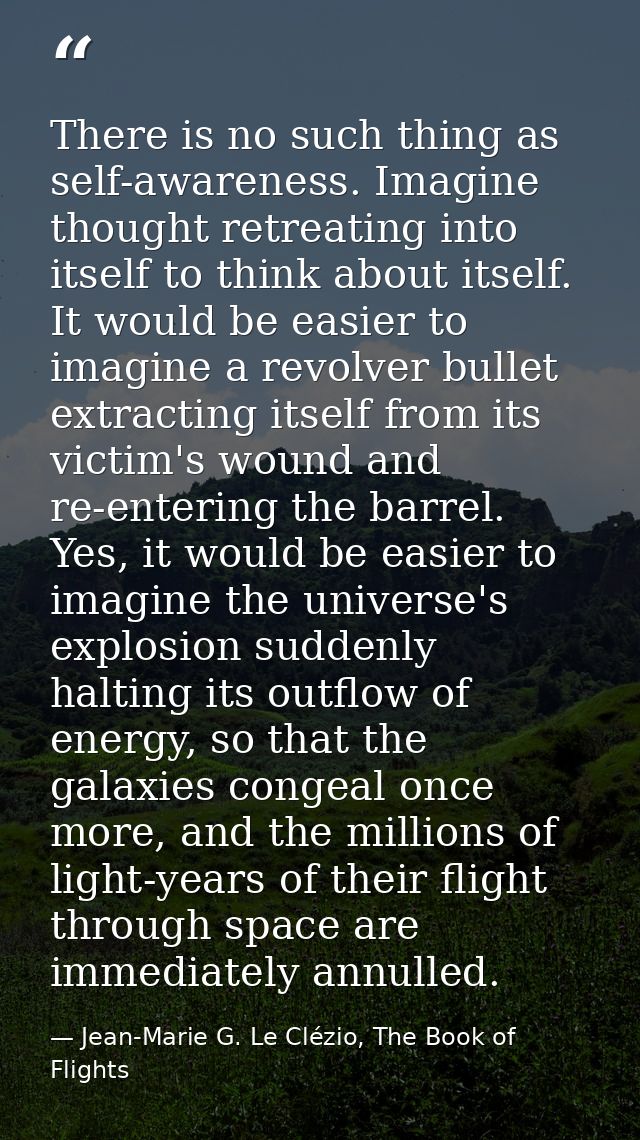There is no such thing as self-awareness. Imagine thought retreating into itself to think about itself. It would be easi — Jean-Marie G. Le Clézio, The Book of Flights