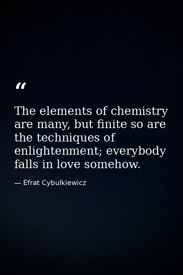 The elements of chemistry are many, but finite so are the techniques of enlightenment; everybody falls in love somehow. — Efrat Cybulkiewicz