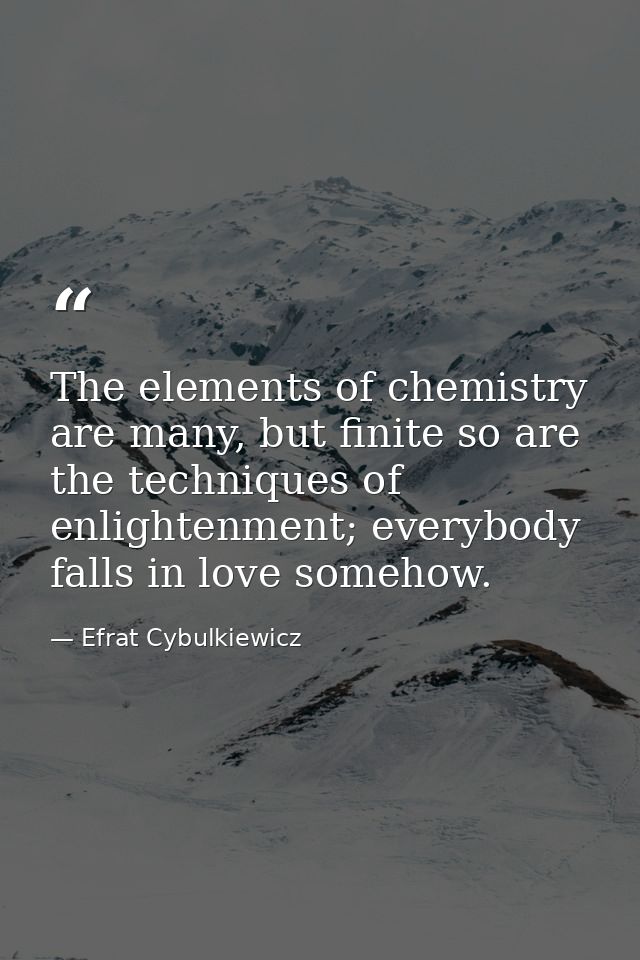 The elements of chemistry are many, but finite so are the techniques of enlightenment; everybody falls in love somehow. — Efrat Cybulkiewicz