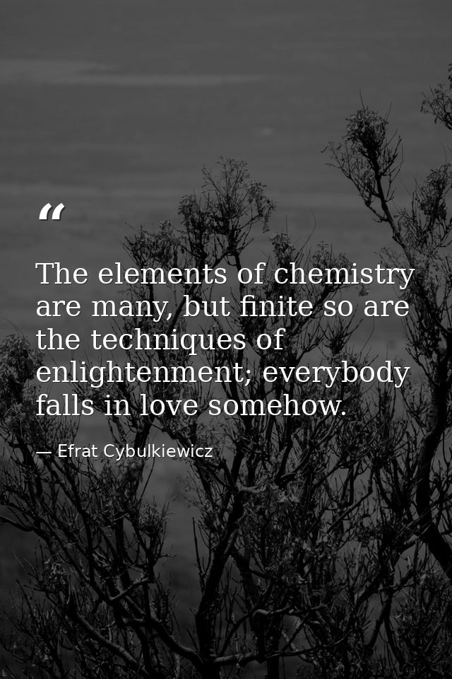 The elements of chemistry are many, but finite so are the techniques of enlightenment; everybody falls in love somehow. — Efrat Cybulkiewicz