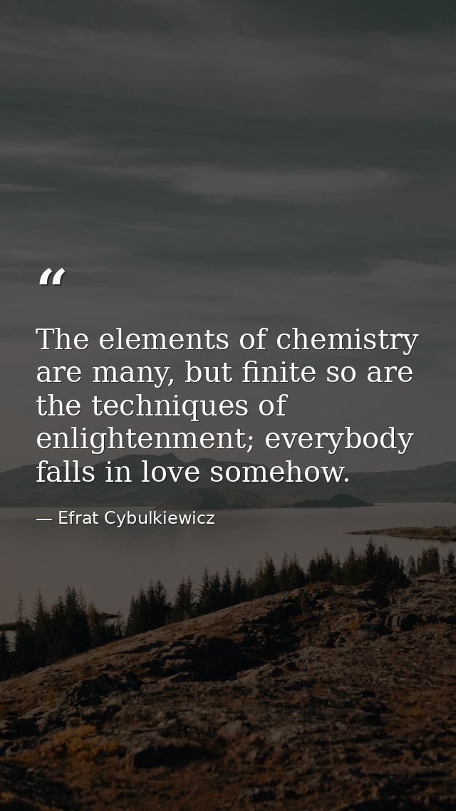 The elements of chemistry are many, but finite so are the techniques of enlightenment; everybody falls in love somehow. — Efrat Cybulkiewicz