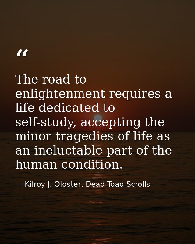 The road to enlightenment requires a life dedicated to self-study, accepting the minor tragedies of life as an ineluctab — Kilroy J. Oldster, Dead Toad Scrolls