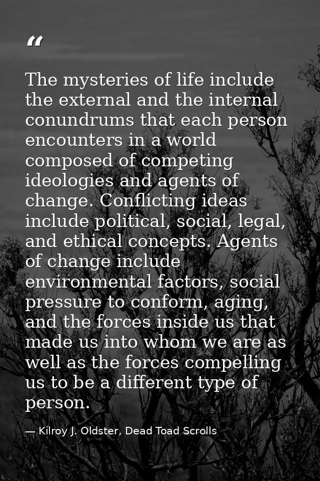 The mysteries of life include the external and the internal conundrums that each person encounters in a world composed o — Kilroy J. Oldster, Dead Toad Scrolls