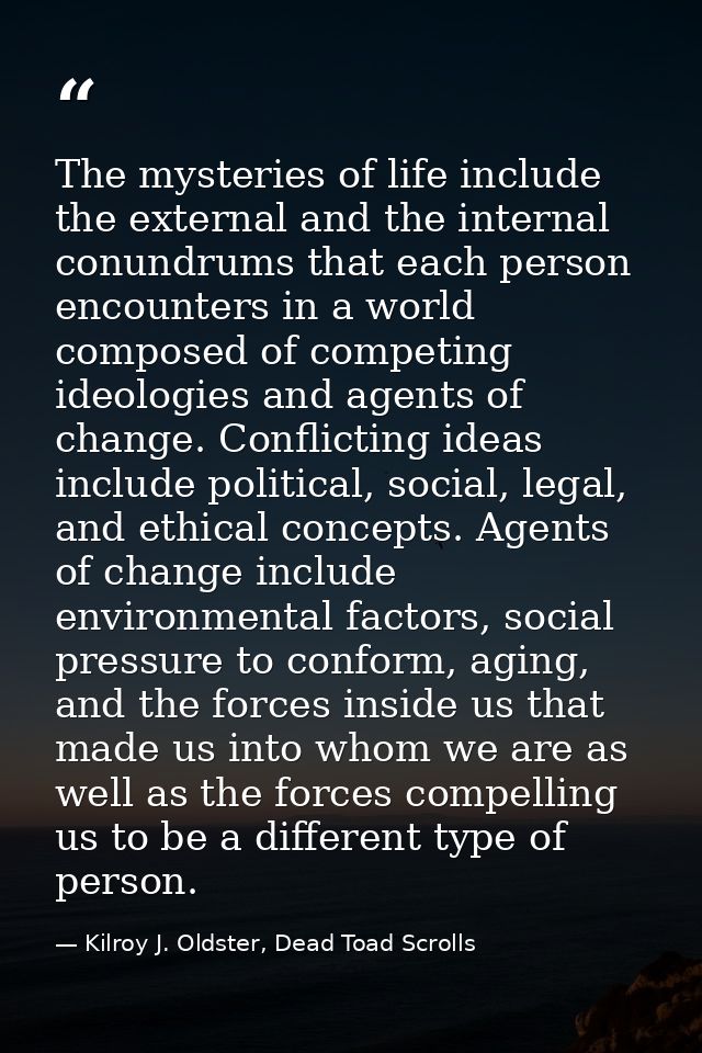 The mysteries of life include the external and the internal conundrums that each person encounters in a world composed o — Kilroy J. Oldster, Dead Toad Scrolls