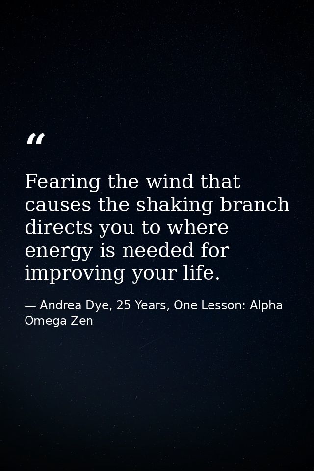Fearing the wind that causes the shaking branch directs you to where energy is needed for improving your life. — Andrea Dye, 25 Years, One Lesson: Alpha Omega Zen