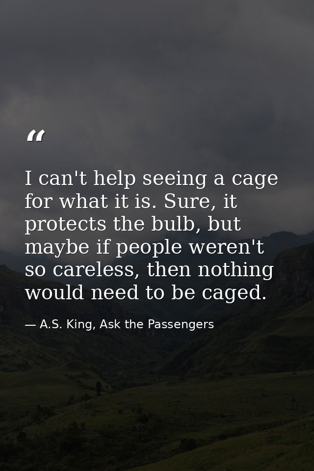 I can't help seeing a cage for what it is. Sure, it protects the bulb, but maybe if people weren't so careless, then not — A.S. King, Ask the Passengers