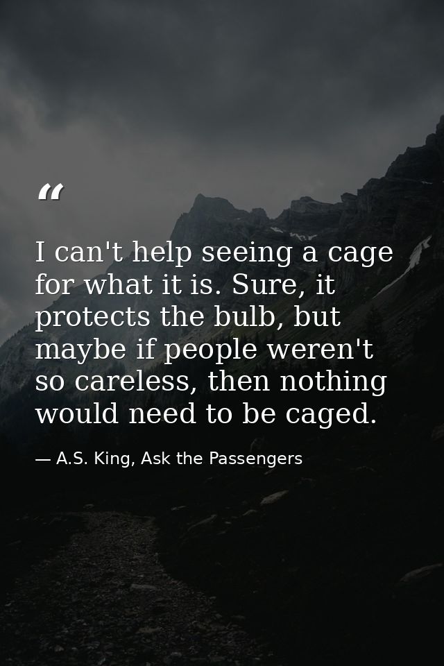 I can't help seeing a cage for what it is. Sure, it protects the bulb, but maybe if people weren't so careless, then not — A.S. King, Ask the Passengers