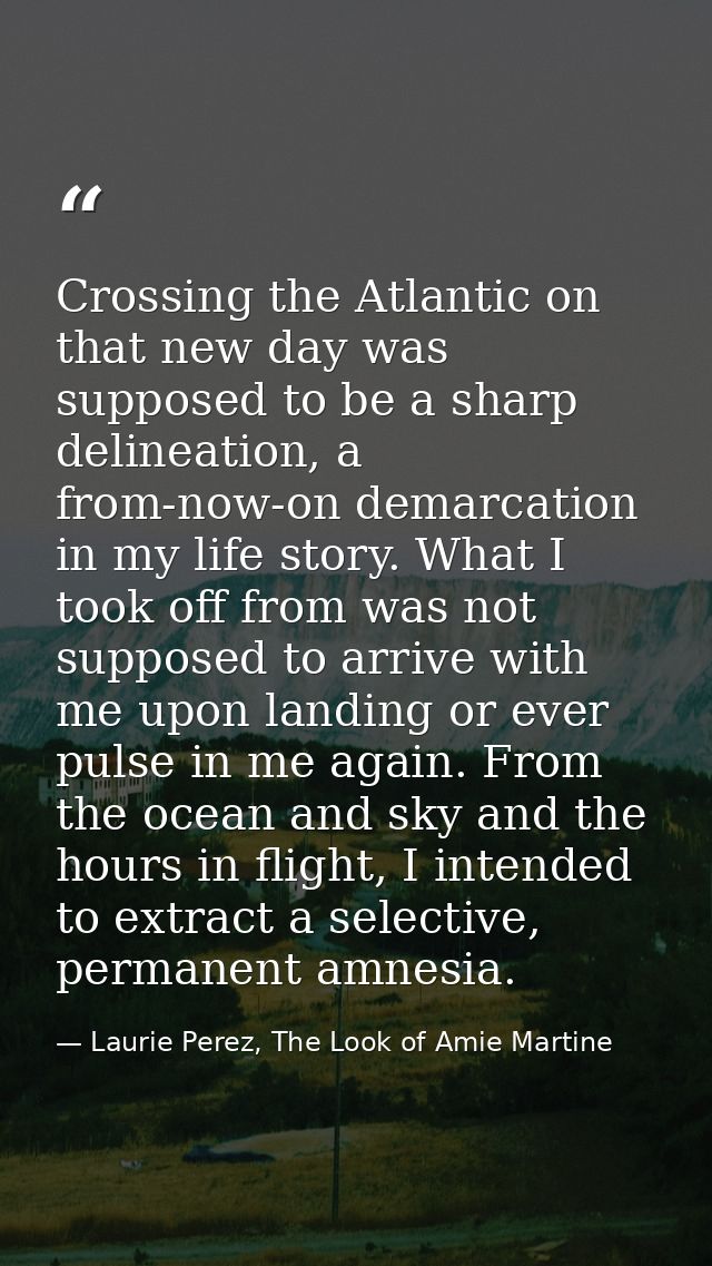 Crossing the Atlantic on that new day was supposed to be a sharp delineation, a from-now-on demarcation in my life story — Laurie Perez, The Look of Amie Martine