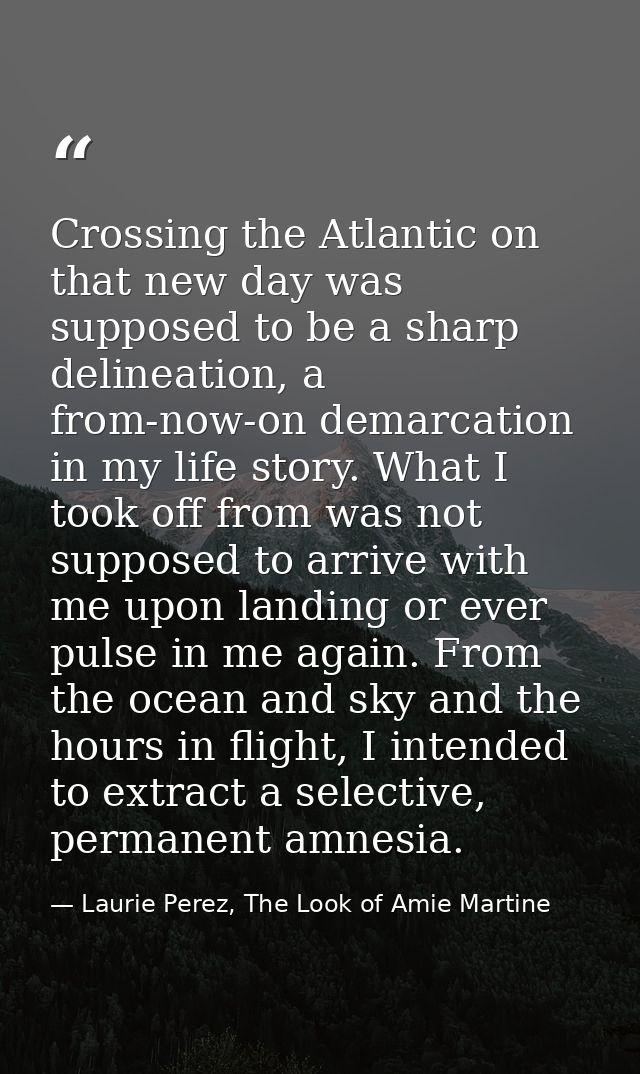 Crossing the Atlantic on that new day was supposed to be a sharp delineation, a from-now-on demarcation in my life story — Laurie Perez, The Look of Amie Martine