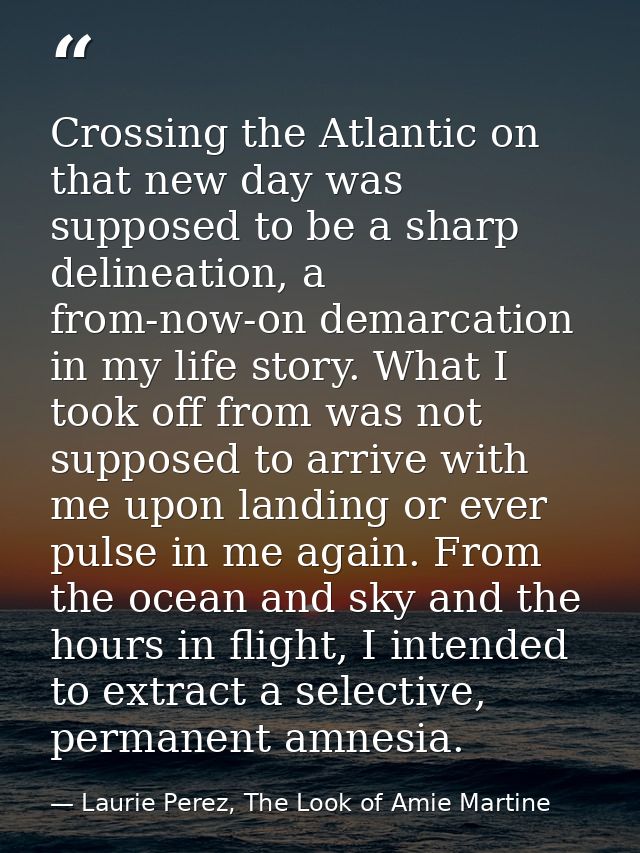 Crossing the Atlantic on that new day was supposed to be a sharp delineation, a from-now-on demarcation in my life story — Laurie Perez, The Look of Amie Martine