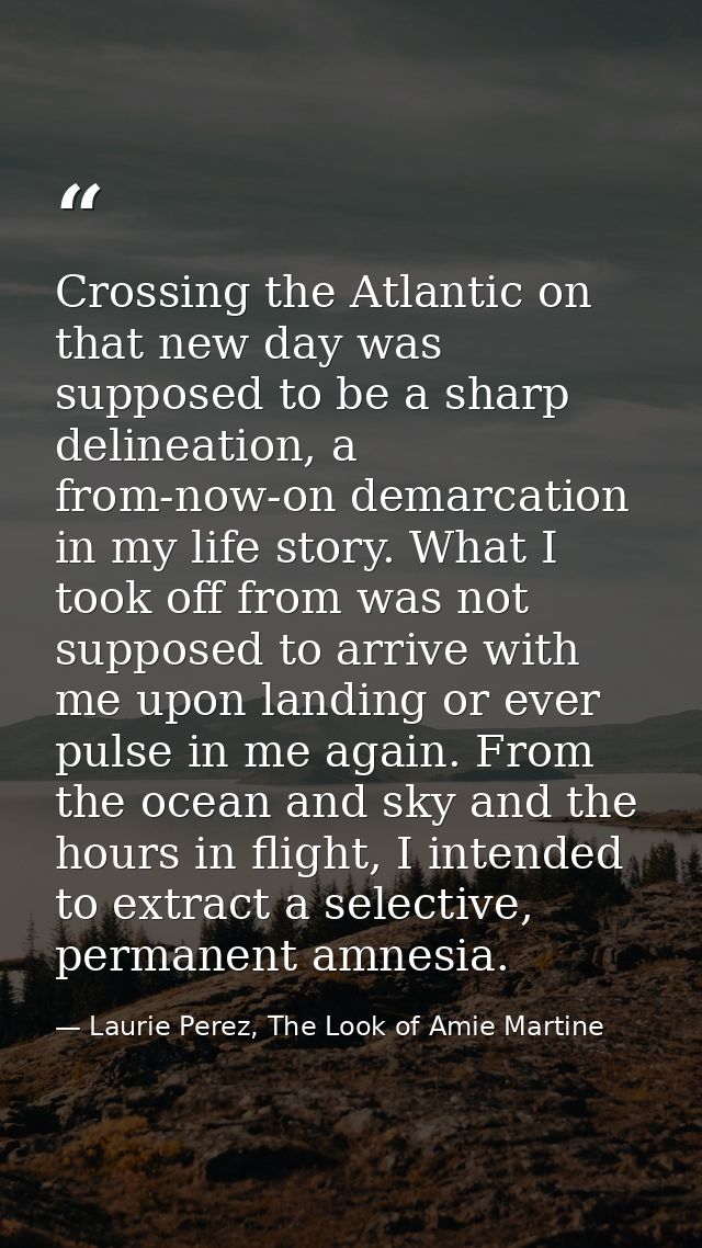 Crossing the Atlantic on that new day was supposed to be a sharp delineation, a from-now-on demarcation in my life story — Laurie Perez, The Look of Amie Martine