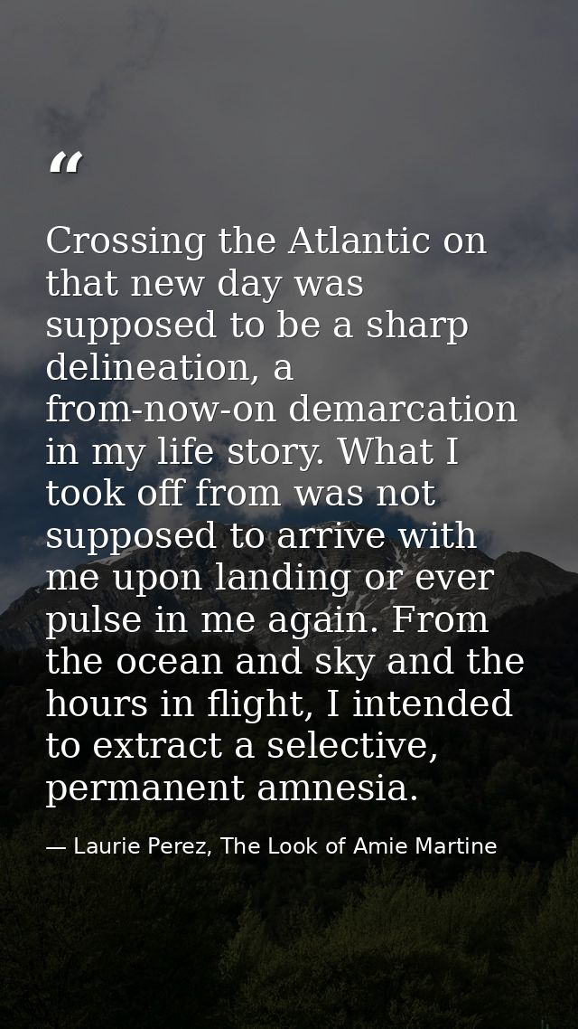 Crossing the Atlantic on that new day was supposed to be a sharp delineation, a from-now-on demarcation in my life story — Laurie Perez, The Look of Amie Martine