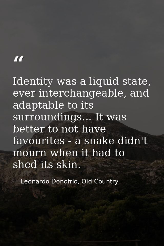 Identity was a liquid state, ever interchangeable, and adaptable to its surroundings... It was better to not have favour — Leonardo Donofrio, Old Country