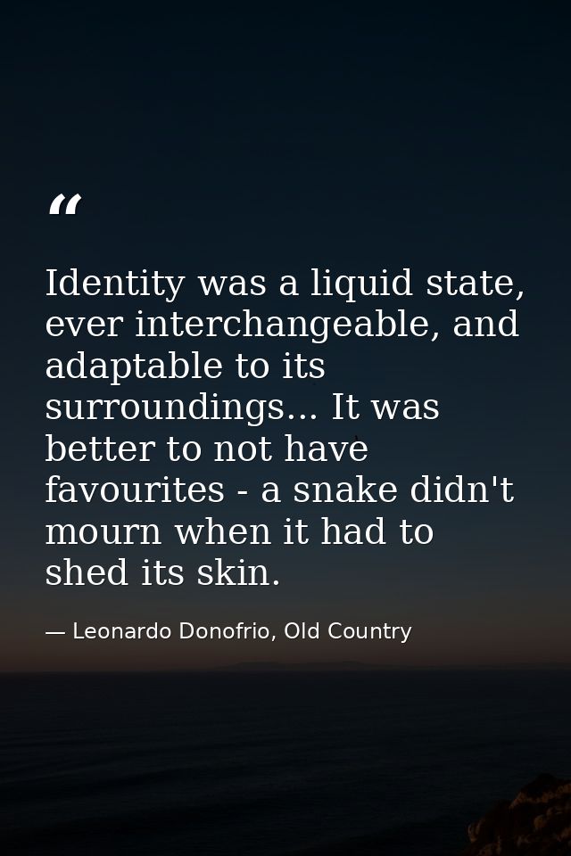 Identity was a liquid state, ever interchangeable, and adaptable to its surroundings... It was better to not have favour — Leonardo Donofrio, Old Country