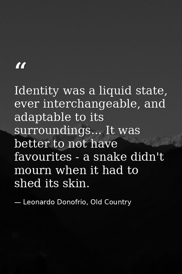 Identity was a liquid state, ever interchangeable, and adaptable to its surroundings... It was better to not have favour — Leonardo Donofrio, Old Country