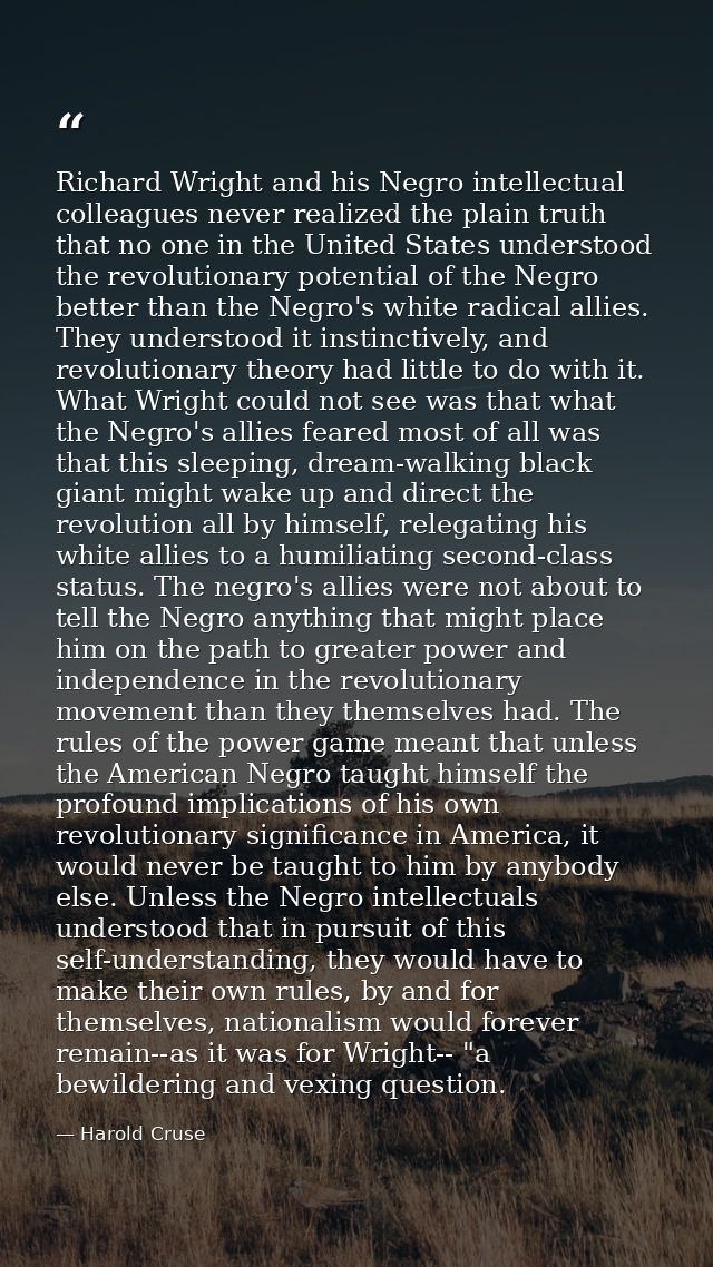 Richard Wright and his Negro intellectual colleagues never realized the plain truth that no one in the United States und — Harold Cruse